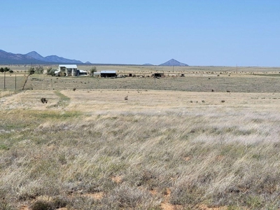 Scenic Ranch & Custom Home Site in Northern Estancia Valley - image 5