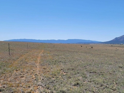 Scenic Ranch & Custom Home Site in Northern Estancia Valley - image 4
