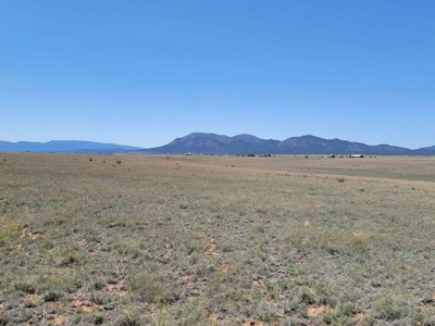 Scenic Ranch & Custom Home Site in Northern Estancia Valley - image 1