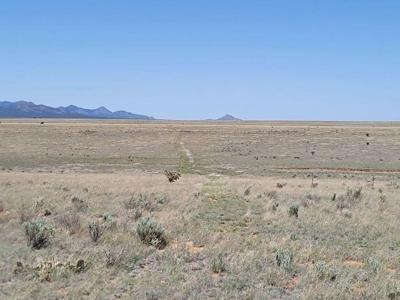 Scenic Ranch & Custom Home Site in Northern Estancia Valley - image 2