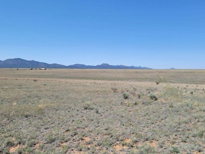 Scenic Ranch & Custom Home Site in Northern Estancia Valley - image 3
