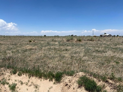 Expansive 35.965-Acre Property in Torrance County, NM - image 6