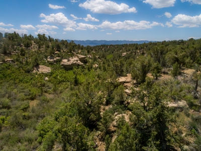 Stunning Home on 30 Acres For Sale in Dolores, CO! - image 7