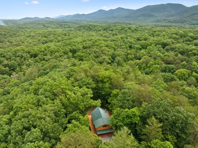 Cabin for Sale in Tellico Plains, TN - image 48