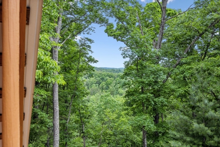 Cabin for Sale in Tellico Plains, TN - image 39