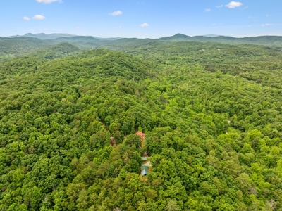 Cabin for Sale in Tellico Plains, TN - image 45