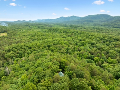 Cabin for Sale in Tellico Plains, TN - image 47