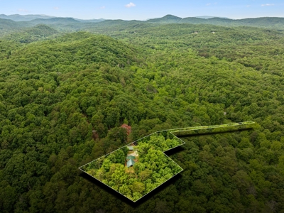 Cabin for Sale in Tellico Plains, TN - image 44