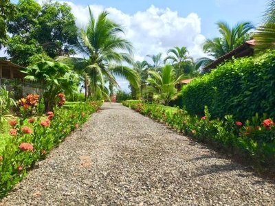 Costa Rica waterfront homes, rental income farm property - image 8