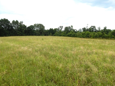 Charming Tennessee Country Home on 28.73 Acres! - image 38