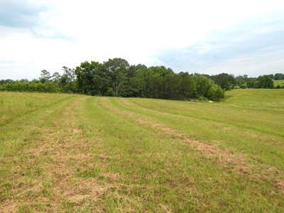 Charming Tennessee Country Home on 28.73 Acres! - image 43
