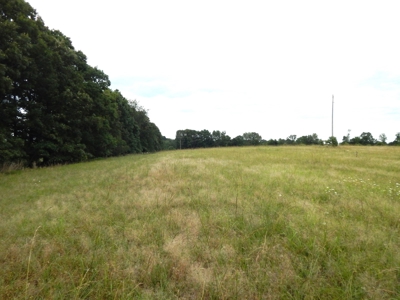 Charming Tennessee Country Home on 28.73 Acres! - image 35
