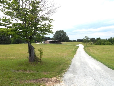 Charming Tennessee Country Home on 28.73 Acres! - image 44