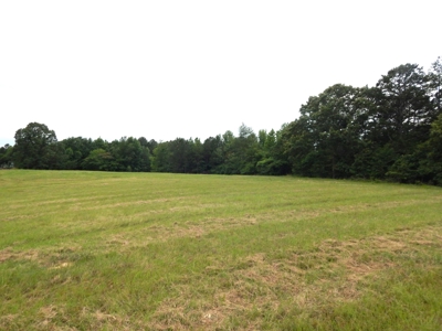 Charming Tennessee Country Home on 28.73 Acres! - image 34