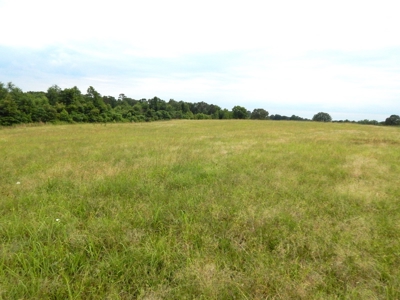 Charming Tennessee Country Home on 28.73 Acres! - image 40