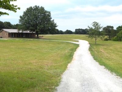 Charming Tennessee Country Home on 28.73 Acres! - image 45