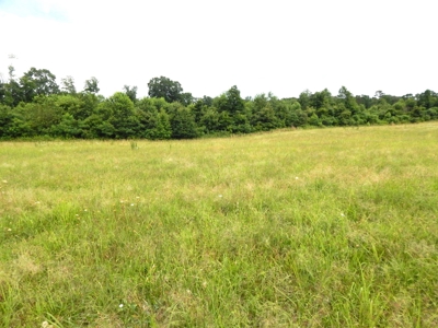 Charming Tennessee Country Home on 28.73 Acres! - image 39