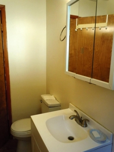 Home For Sale In Logan Iowa - image 29