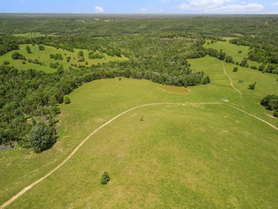 Southern Missouri Ozarks Ranch with Major Live Water for Sal - image 7