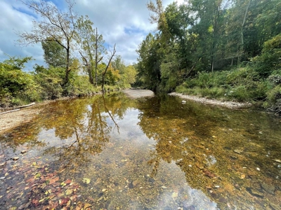 Southern Missouri Ozarks Ranch with Major Live Water for Sal - image 13