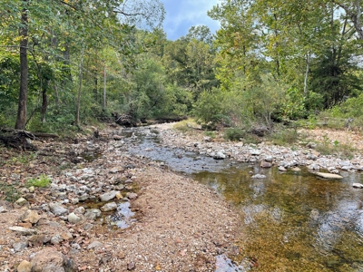 Southern Missouri Ozarks Ranch with Major Live Water for Sal - image 36