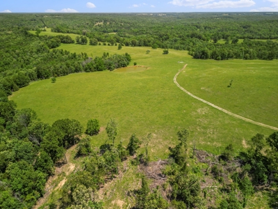 Southern Missouri Ozarks Ranch with Major Live Water for Sal - image 5