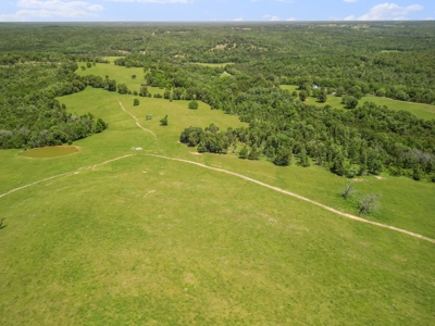 Southern Missouri Ozarks Ranch with Major Live Water for Sal - image 39