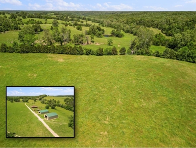 Southern Missouri Ozarks Ranch with Major Live Water for Sal - image 3