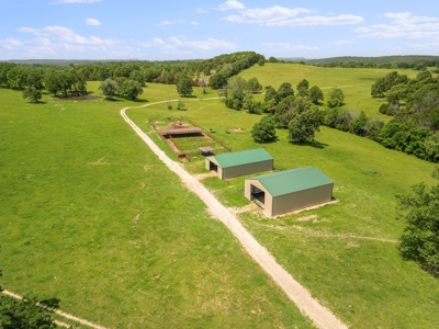 Southern Missouri Ozarks Ranch with Major Live Water for Sal - image 38