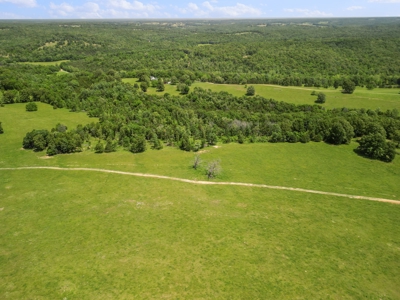 Southern Missouri Ozarks Ranch with Major Live Water for Sal - image 8