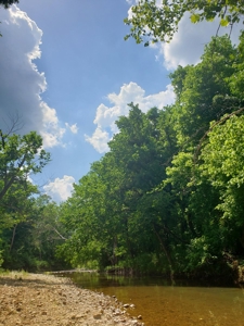 Southern Missouri Ozarks Ranch with Major Live Water for Sal - image 9