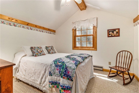 Quintessential Michigan lake cottage with acreage - image 10