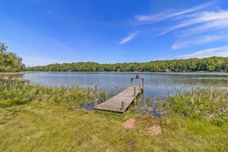 Quintessential Michigan lake cottage with acreage - image 28