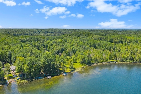 Quintessential Michigan lake cottage with acreage - image 3