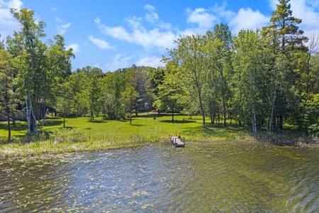 Quintessential Michigan lake cottage with acreage - image 5