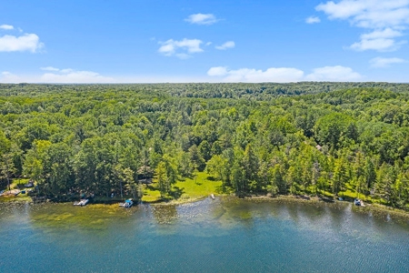 Quintessential Michigan lake cottage with acreage - image 4