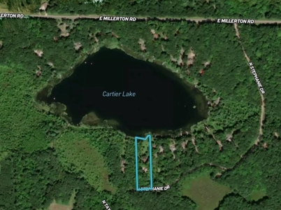 Quintessential Michigan lake cottage with acreage - image 33