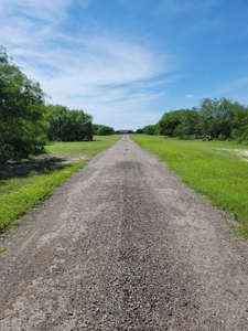 Gorgeous Custom Home on 30 Acres, George West, Tx!! - image 2