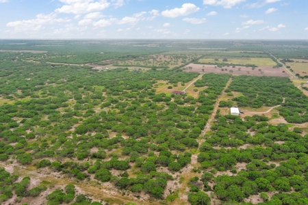Gorgeous Custom Home on 30 Acres, George West, Tx!! - image 11