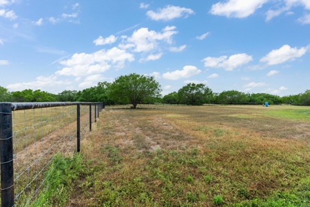 Gorgeous Custom Home on 30 Acres, George West, Tx!! - image 7