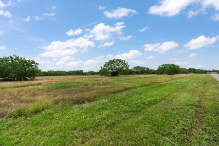 Gorgeous Custom Home on 30 Acres, George West, Tx!! - image 6