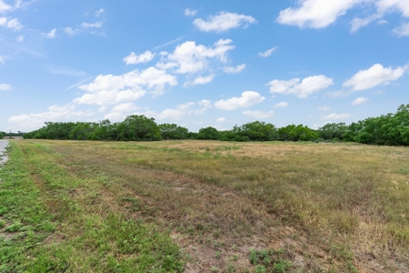 Gorgeous Custom Home on 30 Acres, George West, Tx!! - image 5