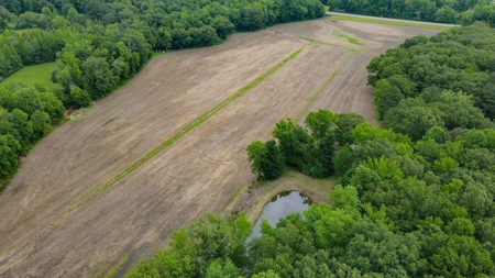 Hobby Farm for Sale Near TN River w/ Shop & Ponds in Camden - image 28