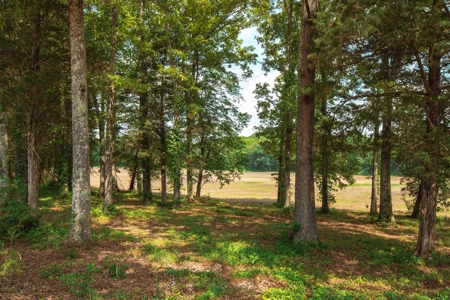 Hobby Farm for Sale Near TN River w/ Shop & Ponds in Camden - image 17