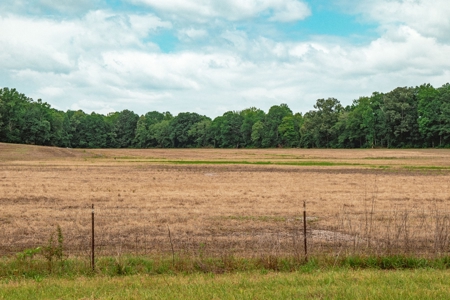 Hobby Farm for Sale Near TN River w/ Shop & Ponds in Camden - image 5