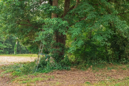 Hobby Farm for Sale Near TN River w/ Shop & Ponds in Camden - image 11