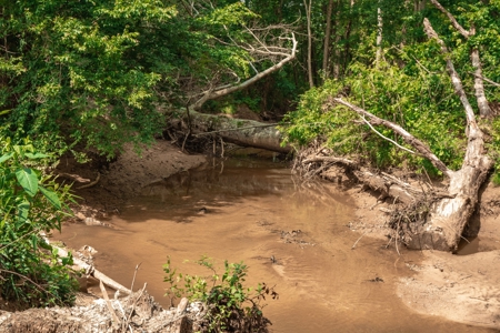 Hobby Farm for Sale Near TN River w/ Shop & Ponds in Camden - image 13