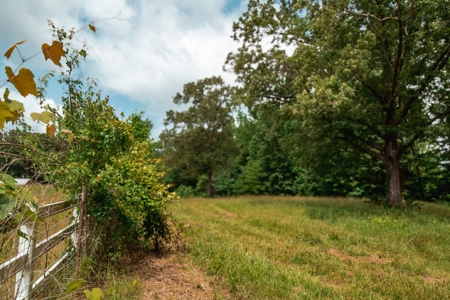 Hobby Farm for Sale Near TN River w/ Shop & Ponds in Camden - image 7