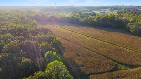 Hobby Farm for Sale Near TN River w/ Shop & Ponds in Camden - image 34