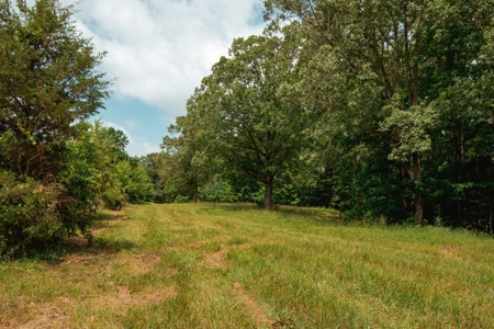 Hobby Farm for Sale Near TN River w/ Shop & Ponds in Camden - image 8